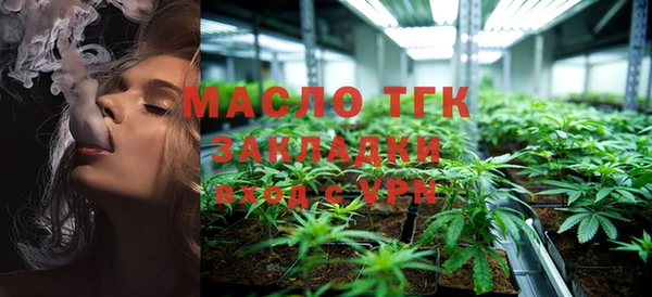 индика Абдулино