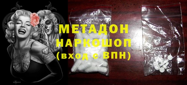 сатива Няндома