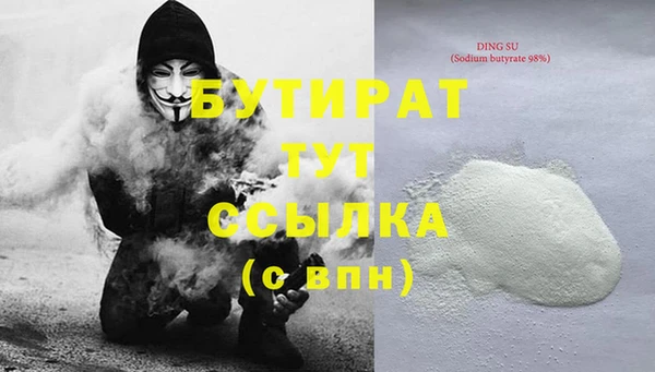 сатива Няндома