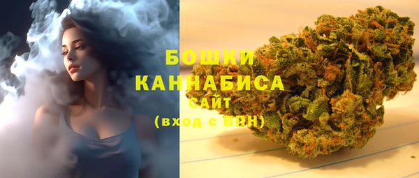 индика Абдулино