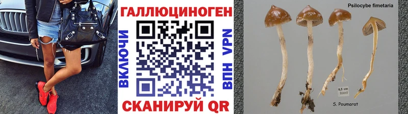 Псилоцибиновые грибы MAGIC MUSHROOMS  Яхрома 